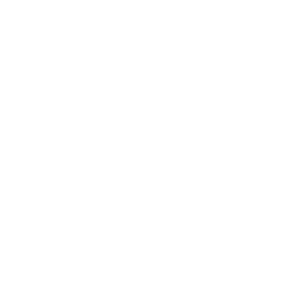 Afriso Anschlussarmatur Euroflex 312 mit Grenzwertgeber 1 1/2" AG 20190