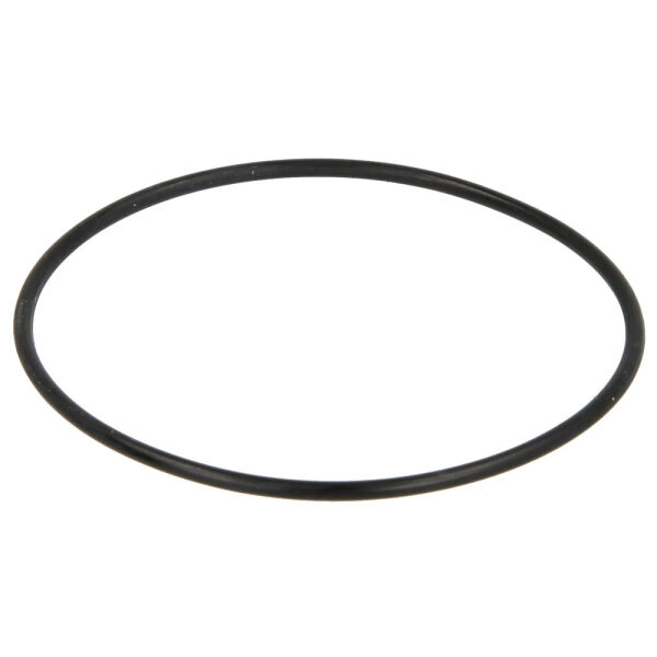 Riello Pumpendeckeldichtung 3007162