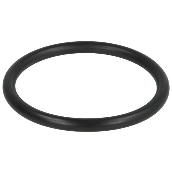 Werit O-Ring für T-Stück 2" Füllleitung 155-000000003