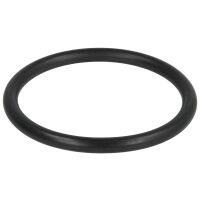 Werit O-Ring für T-Stück 2"...
