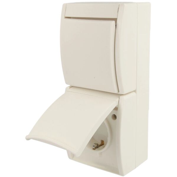 Busch-Jaeger SCHUKO-Steckdose Kombination mit Wippschalter 2601/6/20 EW-54