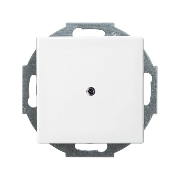 Busch-Jaeger Busch-balance SI Zentralscheibe Leitungsauslass 2CKA001710A4061