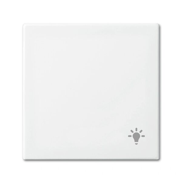 Busch-Jaeger Busch-balance SI Wippe mit Aufdruck Licht 2CKA001731A2010