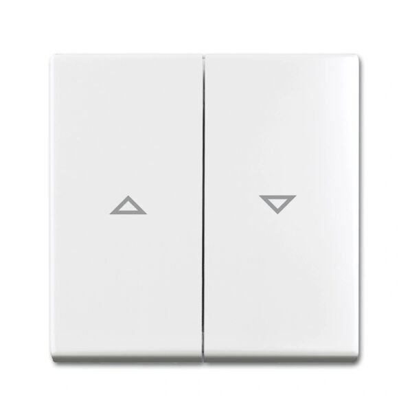 Busch-Jaeger Busch-balance SI Wippe Jalousieschalter 2-fach 2CKA001713A0202