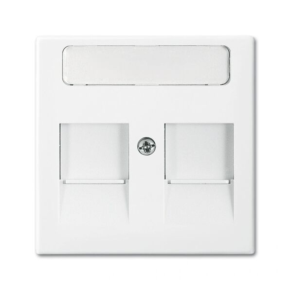 Busch-Jaeger Busch-balance SI Zentralscheibe Modular-Jack 2-fach 2CKA001753A0229