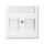 Busch-Jaeger Busch-balance SI Zentralscheibe Modular-Jack 2-fach 2CKA001753A0229