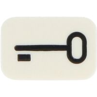 Busch-Jaeger Tastersymbol Schlüssel 2525 TR-214