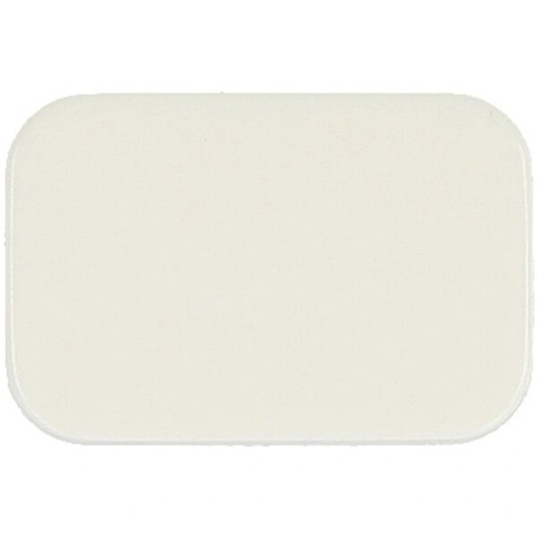 Busch-Jaeger Tastersymbol neutral 2525 N-214