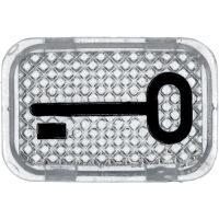 Busch-Jaeger Tastersymbol Schlüssel 2145 TR
