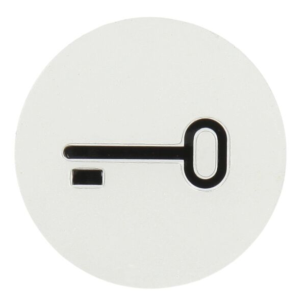 Busch-Jaeger Abtastbares Symbol Schlüssel 2144 TR