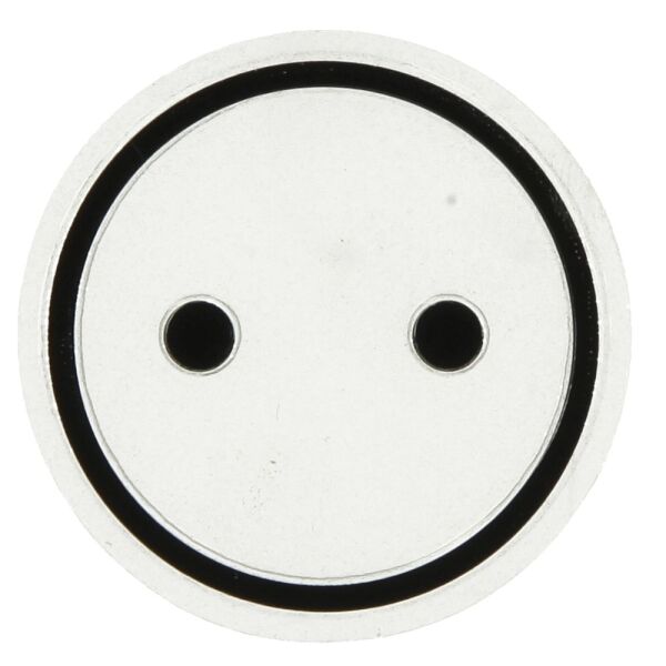 Busch-Jaeger Abtastbares Symbol Steckdose 2144 ST