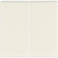 Busch-Jaeger Allwetter 44 Serienwippe 2105-34