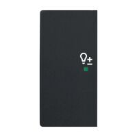 Busch-Jaeger Wippe 2-fach mit Symbol "Dimmer"...