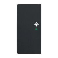 Busch-Jaeger Wippe 2-fach mit Symbol "Licht"...