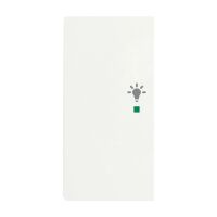 Busch-Jaeger Wippe 2-fach mit Symbol "Licht"...