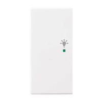 Busch-Jaeger Wippe 2-fach mit Symbol "Licht"...