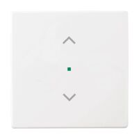 Busch-Jaeger Wippe 1-fach mit Symbol "Jalousie"...
