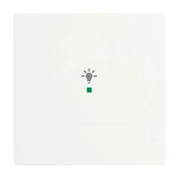 Busch-Jaeger Wippe 1-fach mit Symbol "Licht"...