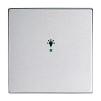 Busch-Jaeger Wippe 1-fach mit Symbol "Licht"...