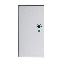 Busch-Jaeger Wippe 2-fach mit Symbol "Licht"...