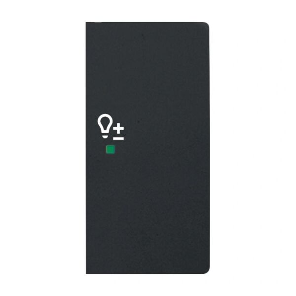 Busch-Jaeger Wippe 2-fach mit Symbol "Dimmer" rechts schwarz matt