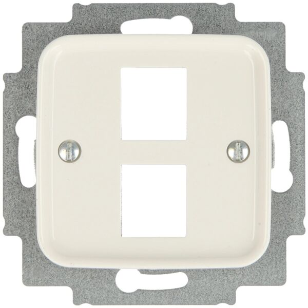 Busch-Jaeger Reflex SI Zentralscheibe Modular-Jack 2-fach 2561-02-214
