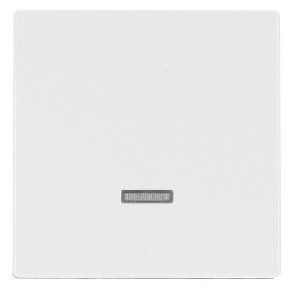 Busch-Jaeger future linear Bedienelement Dimmer mit Glimmlampe 6543-84-101