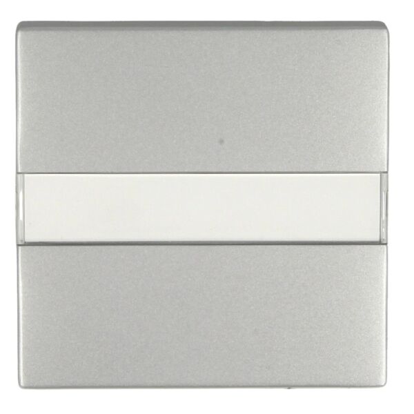 Busch-Jaeger future linear Wippe mit Beschriftungsfeld 1764 NL-I83