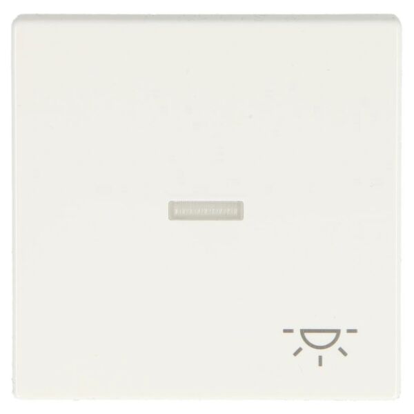 Busch-Jaeger future linear Wippe mit Aufdruck Licht und Kalotte 1789 LI-84