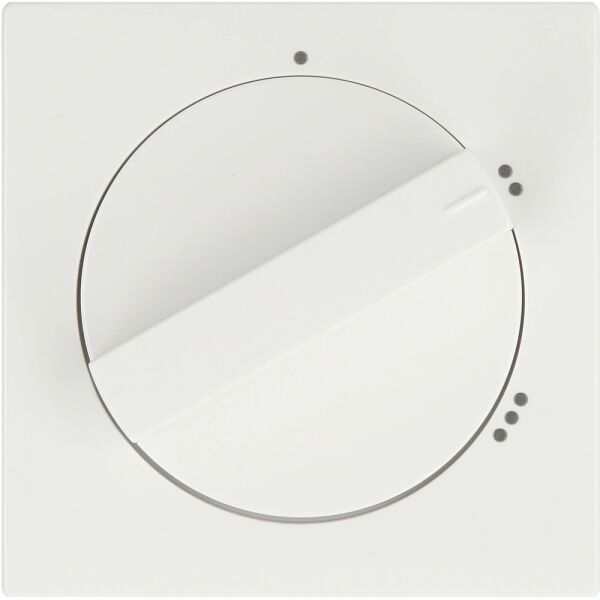 Busch-Jaeger future linear Zentralscheibe mit Drehgriff 2542 DR/02-84