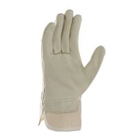 teXXor® Schweinsvollleder-Handschuhe DAMEN-PAWA,...